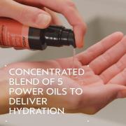 Aveda Nutriplenish Vielseitiges Haaröl 30 ml