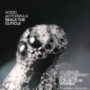 Redken Acidic Color Gloss Shampoo 300ml, Conditioner 300ml and Heat Pr...