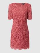 Montego Kleid aus Spitze in Pink, Größe 36