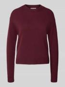 Christian Berg Woman Wollpullover mit Rundhalsausschnitt in Bordeaux, ...