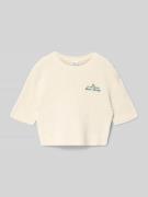 s.Oliver RED LABEL Regular Fit Strick-Shirt aus Baumwoll-Mix in Ecru, ...