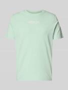 s.Oliver RED LABEL Regular Fit T-Shirt aus reiner Baumwolle in Lind, G...