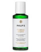 PHILIP B Peppermint & Avocado Volumizing Shampoo 60 ml