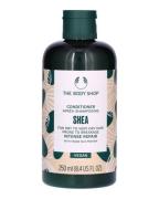 The Body Shop Shea Conditioner 250 ml