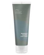 Isntree Mugwort Calming Clay Mask 100 ml