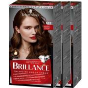 Schwarzkopf Brillance 862 Natural Brow 3-pack