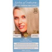 Tints of Nature Permanent Hair Colour 8C Ash Blonde