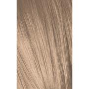 Schwarzkopf Professional Igora Vibrance 9-12 Extra ljusblond cend