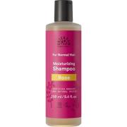 Urtekram Rose For Normal Hair Moisturizing Shampoo 250 ml