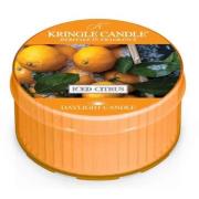 Kringle Candle Iced Citrus Daylight  12 St.