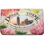 Nesti Dante Dolce Vivere Pisa 250 g