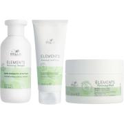 Wella Professionals Elements Renewing Trio Package