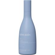 Björn Axen Repair Shampoo 250 ml