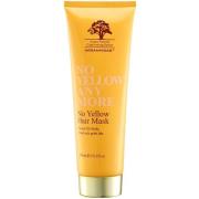 Arganmidas No Yellow Hair Mask  300 ml