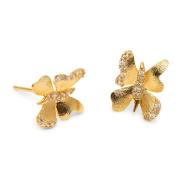 Lily and Rose Brigitte Earrings Champagne mist