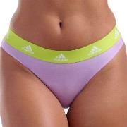 adidas 3P Sport Cotton Logo Thong Lila/Schwarz Baumwolle Small Damen