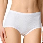 Calida Cotton Midi Brief Weiß Baumwolle 38 Damen