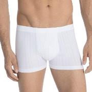 Calida Pure and Style Boxer Brief 26786 Weiß Baumwolle Small Herren