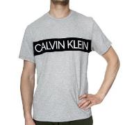 Calvin Klein Statement 1981 Graphic SS Crew Grau Baumwolle Large Herre...