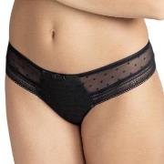 Rosa Faia Emily Brazilian Shorty Schwarz 38 Damen