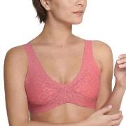 Sloggi BH ZERO Feel Lace 2.0 Bralette Rosa Small Damen