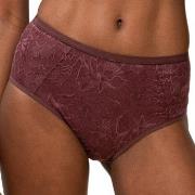 Triumph Amourette Charm Maxi Panty Weinrot 38 Damen