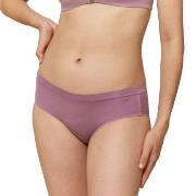 Triumph Smart Natural Hipster EX Helllila Modal Fit Smart 1 Damen