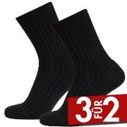 Claudio 2P Wool Terry Socks Schwarz Gr 40/43 Herren