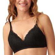 NATURANA BH Padded Non Wired Bra Schwarz Polyamid B 80 Damen