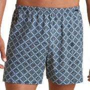Calida Prints Cotton Boxer Shorts Blau Muster Baumwolle Medium Herren