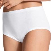 Calida 2P Iconics Midi Brief Weiß Baumwolle 40 Damen