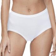 JBS of Denmark Bamboo Maxi Brief Weiß Small Damen