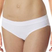 Schiesser Rio Slip Brief Weiß 38 Damen