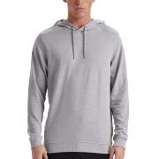 JBS of Denmark Hoodie With Logo Hellgrau Small Herren