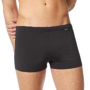 Bruno Banani Swim 2 0 Wave Line Schwarz Polyamid Small Herren
