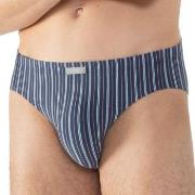 Mey Varied Stripe Jazz Briefs Mixed Baumwolle Medium Herren