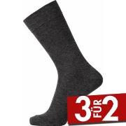 Egtved Cotton No Elastic Sock Dunkelgrau Gr 45/48 Herren