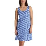 Calida Shell Nights Nightdress Blau/Weiß Baumwolle Small Damen