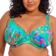 Elomi Toyama Tides Underwire Plunge Bikini Top Mixed F 80 Damen
