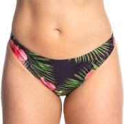 Missya Pisa Bikini Tai Schwarz gemustert 38 Damen