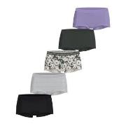 Björn Borg 5P Everyday Boxer Shorts Multi-colour-2 Baumwolle Small Dam...