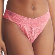 Hanky Panky 3P Daily Lace Original Rise Thong D1 Rosa Nylon One Size D...
