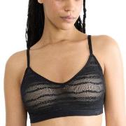 Sloggi BH FREE Evolve Lace Push-Up Bra Schwarz Sloggi 01 Damen