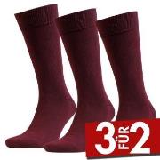 Amanda Christensen 3P True Combed Cotton Sock Rot Gr 39/42