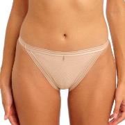 Freya Tailored Brief Schwarz Small Damen
