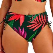 Fantasie Pichola High Waist Bikini Brief Geblümt Small Damen