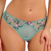 Freya Love Crush Brief Türkis Small Damen