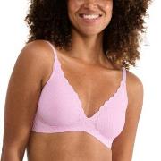 Sloggi BH ZERO Feel Bliss Push-Up Bra Rosa Small Damen