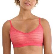 Sloggi BH FREE Evolve Lace Push-Up Bra Rosa Sloggi 01 Damen