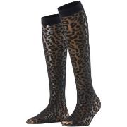 Falke Wild Breed 20 DEN Women Schwarz Polyamid Gr 39/42 Damen